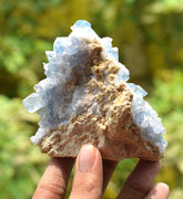 Celestite Cluster